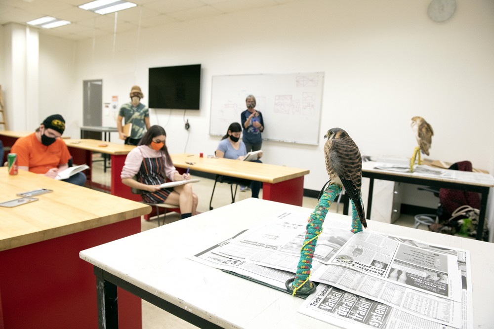 Students in classroom drawing birds.