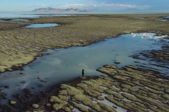 Casting and Mending: How Therapeutic Fly Fishing Heals Shattered Minds and  Bodies