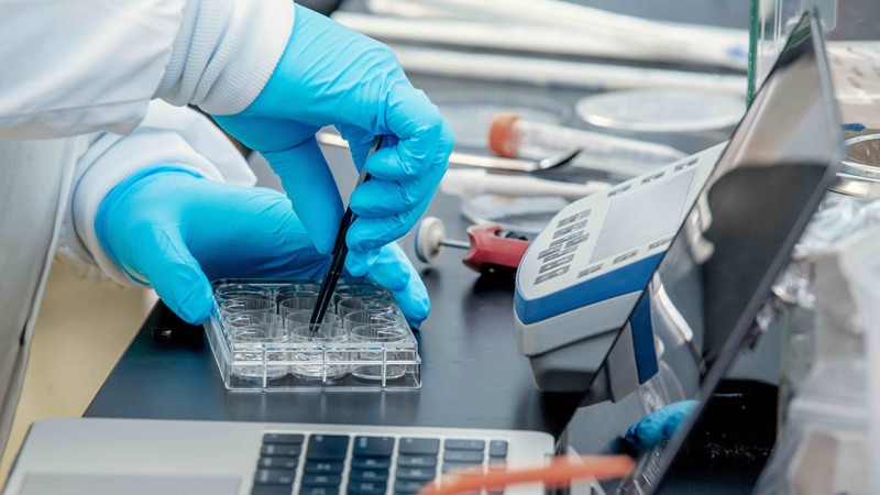 the image shows two hands wwearing blue gloves working in a biomedical engineering lab.
