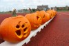 Pumpkins lined up on the track outdoors to be viewed