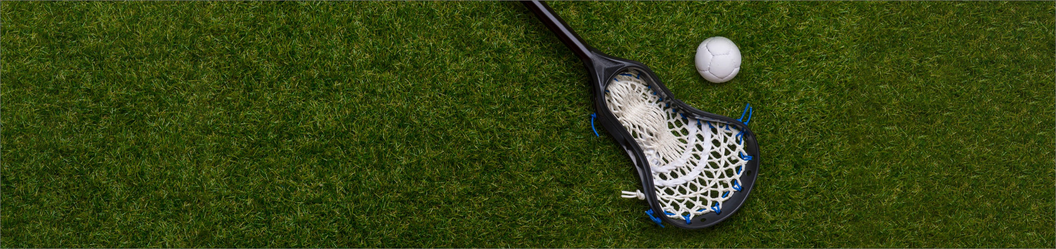 a lacrosse stick and ball on a field