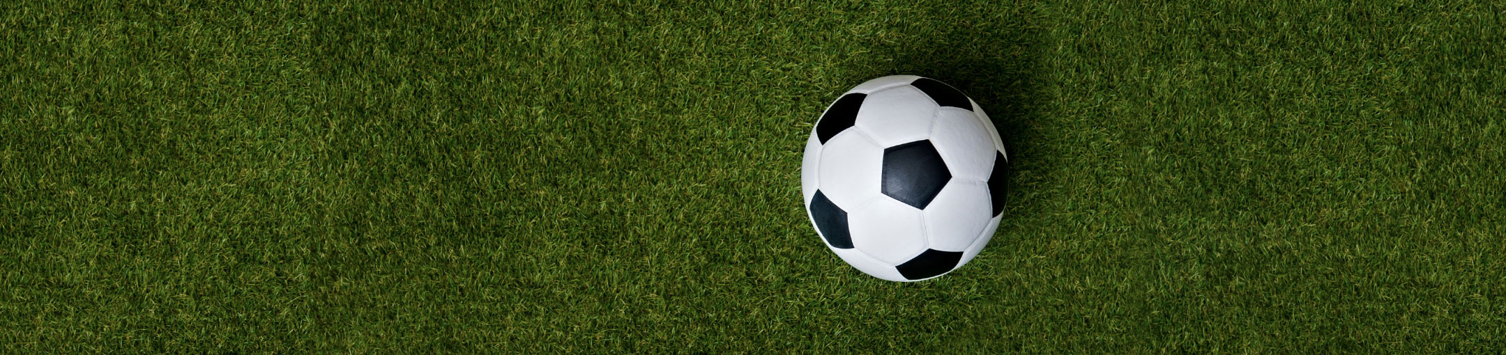 a soccer ball sitting on a field