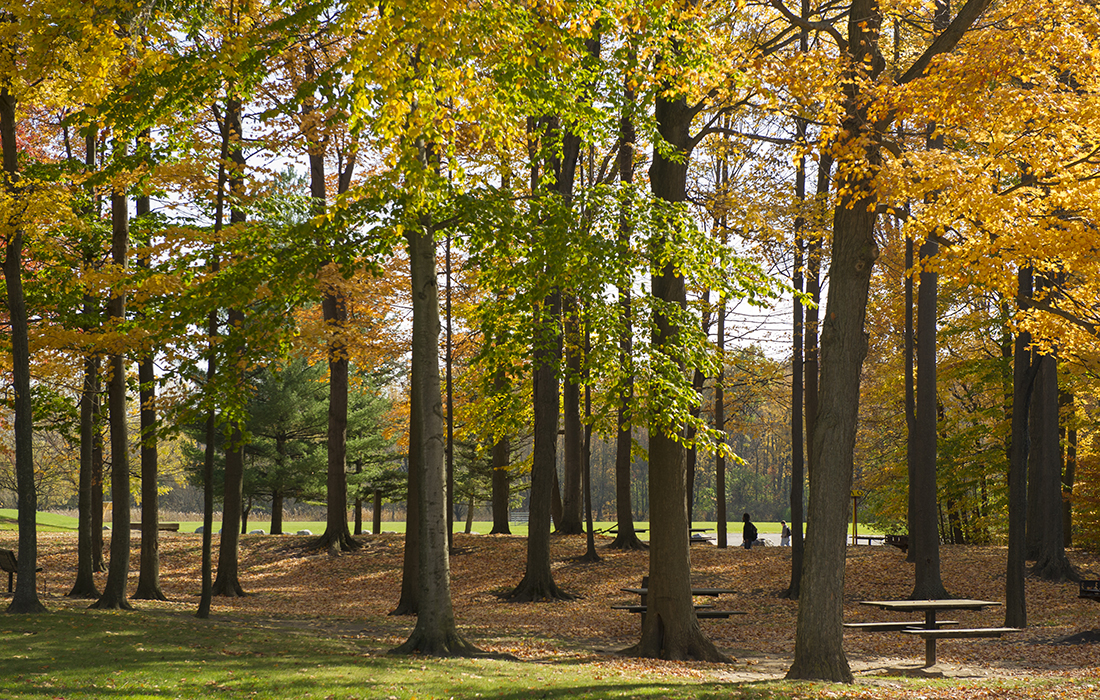 Grounds | Sustainable Campus | RIT