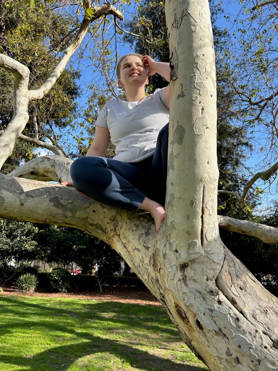 a white presenting nonbinary person is sitting in a tree in a t shirt and pants