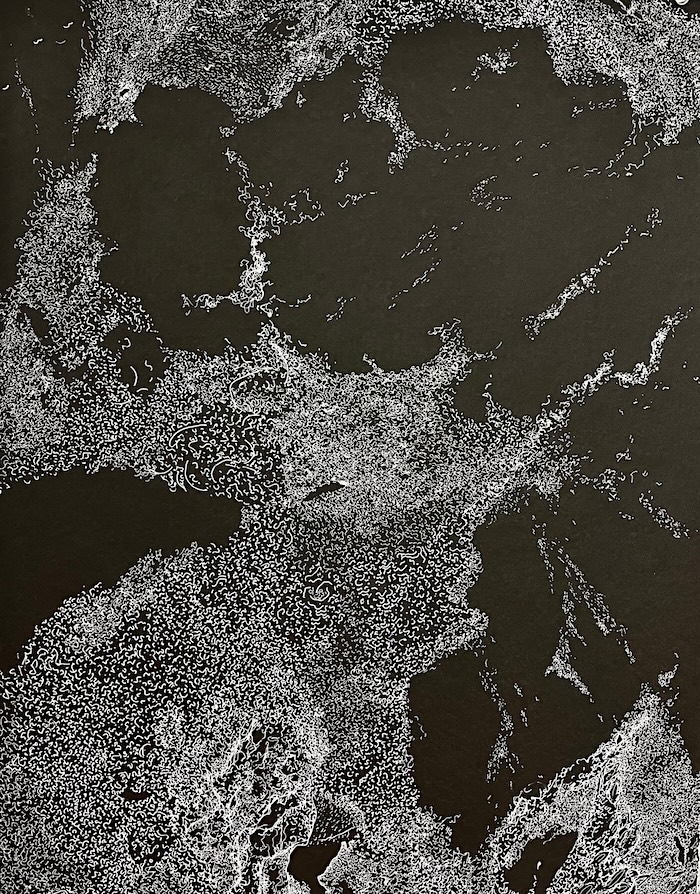 an abstract white ink on black paper drawing that resembles a satellite image of the earth from space.