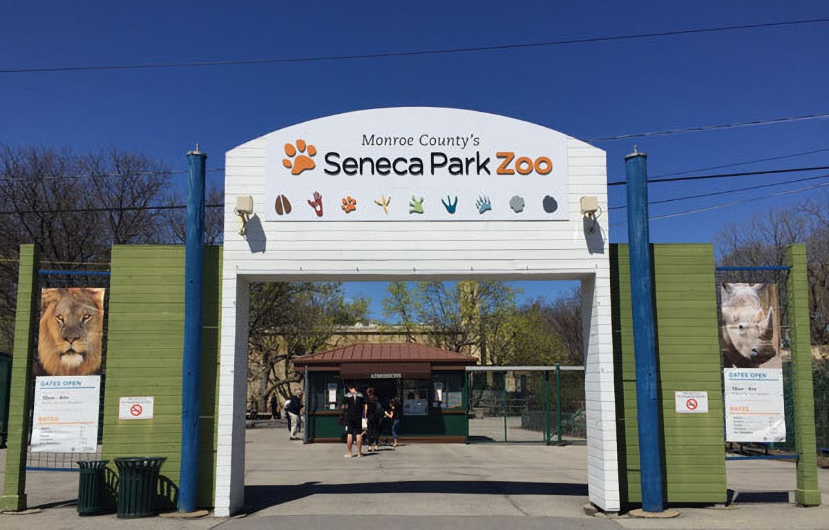 Seneca Park Zoo Collaboration Vignelli Center RIT