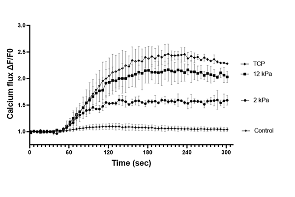 substrate stiffness graph